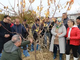 Elazığ’da ağaç budama ve aşılama eğitimi

