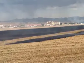 Elazığ’da anız yangını
