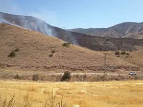 Elazığ’da anız yangını söndürüldü
