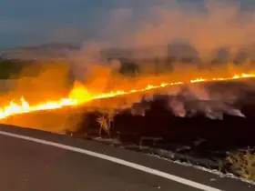 Elazığ’da arazi yangını
