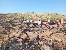 Elazığ’da arazi yangını: Arı kovanları zarar gördü
