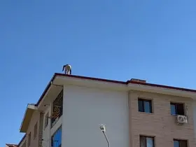 Elazığ’da çatıda tehlikeli çalışma
