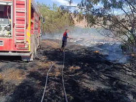 Elazığ’da çıkan arazi yangını söndürüldü
