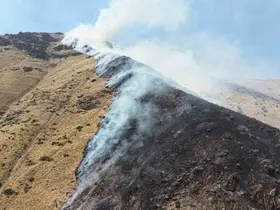 Elazığ’da dağlık alanda çıkan yangında 1 şüpheli gözaltına alındı
