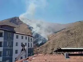 Elazığ’da dağlık alanda yangın
