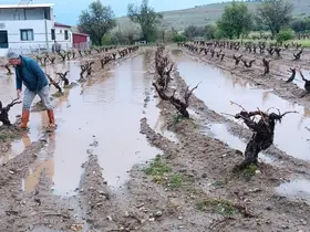 Elazığ’da dolu yağışı sonrası hasar tespit çalışması
