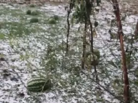 Elazığ’da fırtına ve dolu, tarım arazilerine zarar verdi
