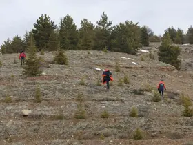 Elazığ’da kayıp yaşlı adama dair bir ize rastlanmadı

