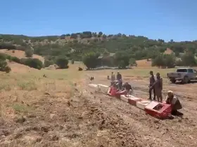 Elazığ’da kenelerle mücadele için doğaya keklik bırakıldı
