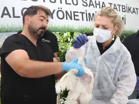 Elazığ’da kuş gribi eğitimi

