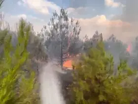 Elazığ’da ormanlık alanda yangın
