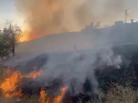Elazığ’da otluk alanda çıkan yangın söndürüldü

