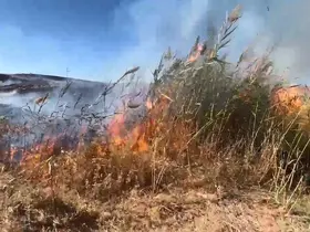 Elazığ’da otluk alanda yangın
