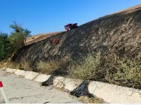 Elazığ’da otluk alanda yangın
