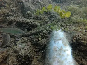 Elazığ’da su altı harikaları kayda alınıyor
