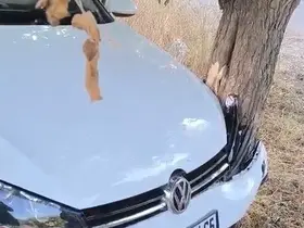 Elazığ’da trafik kazası: 2 yaralı
