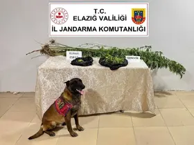 Elazığ’da uyuşturucuyla mücadele

