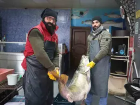 Elazığ’da yakalanan 78 kilogram ağırlığındaki turna balığını iki kişi zor taşıdı
