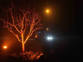 Elazığ’da yoğun sis: 4 bin yıllık Harput Mahallesi’nde göz gözü görmedi
