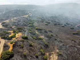 Elazığ’daki orman yangını söndürüldü
