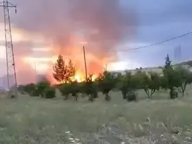 Elektrik direğinden çıktığı iddia edilen yangın buğday tarlasını küle çevirdi
