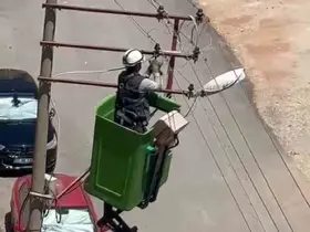 Elektrik tellerine takılan kuş kurtarıldı

