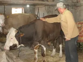 Emekli olan elektrik mühendisi huzuru köyde buldu
