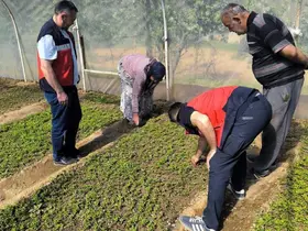 Emet’te seralarda inceleme ve bilgilendirme faaliyetleri
