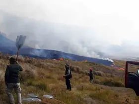 Endonezya’daki Bromo Dağı Milli Parkı’nda günlerdir süren yangın söndürülemiyor
