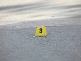 Erciş’te iki kardeşe silahlı saldırı: 1 ölü, 1 yaralı

