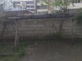 Erciş’te şiddetli yağmur yağışı
