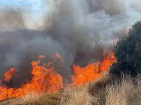 Erdek’te 100 dönümlük alanda yangın
