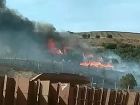 Erdek’te otluk ve ağaçlık alanda yangın
