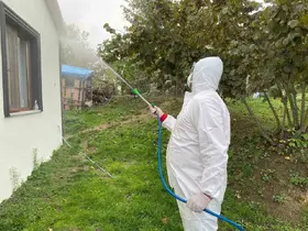 Erenler’de kokarcaya yönelik etkili mücadele sürüyor
