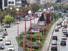Erken teşhis için sokak lambaları pembe yanıyor

