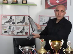 Ermenistan sınırından bırakılan güvercin bin kilometre yolu bir günde katederek evine döndü

