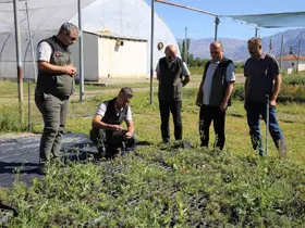 Erzincan Fidanlık Şefliğinde 2026 yılı üretim çalışmaları incelendi
