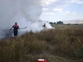 Erzincan’da arazide çıkan yangın söndürüldü
