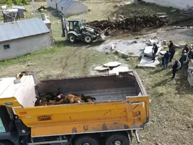 Erzincan’da ayı dehşeti: Ağıla ayı girdi,  144 küçükbaş hayvan telef oldu
