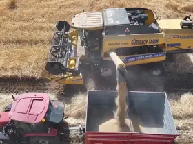 Erzincan’da baraj ve sulama suları tarlaları bereketle buluşturuyor
