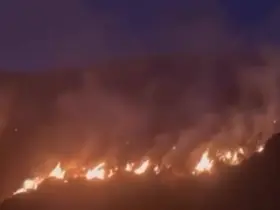 Erzincan’da örtü yangını ormana sirayet etmeden kontrol altına alındı
