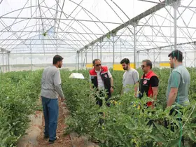 Erzincan’da seracılık faaliyetleri yerinde incelendi
