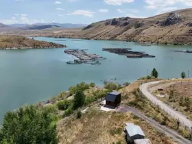 Erzincan’da yetişiyor, Trabzon ve Elazığ’da somona dönüşüyor
