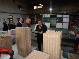 Erzincan’dan Türkiye’ye viyol üretimi
