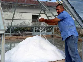 Erzincan’ın dağlarından sofralara
