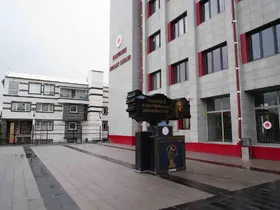 Erzurum Cumhuriyet Başsavcılığı: "Soruşturma titizlikle sürdürülüyor"
