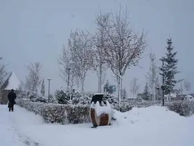 Erzurum, Erzincan ve Bayburt için kar uyarısı
