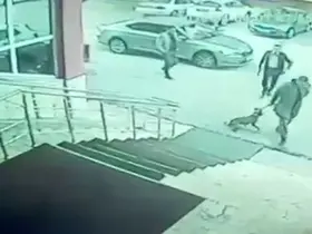 Erzurum Palandöken Kaymakamı ve korumasına soruşturma açıldı
