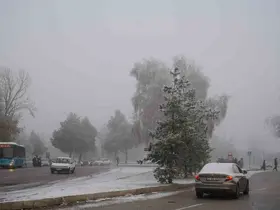 Erzurum’da araç sayısı 150 bini geçti
