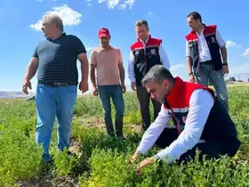 Erzurum’da tarımsal destekler meyvesini veriyor
